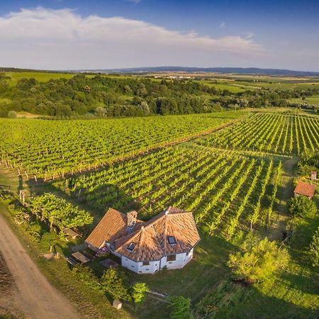 Robinson Vila Kitokret Kutjevo ภายนอก รูปภาพ