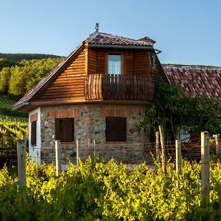 Robinson Vila Kitokret Kutjevo ภายนอก รูปภาพ
