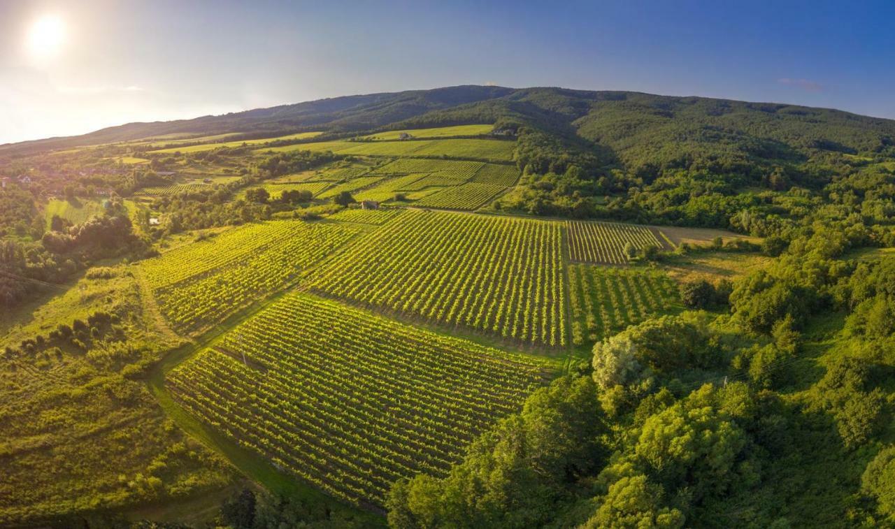 Robinson Vila Kitokret Kutjevo ภายนอก รูปภาพ