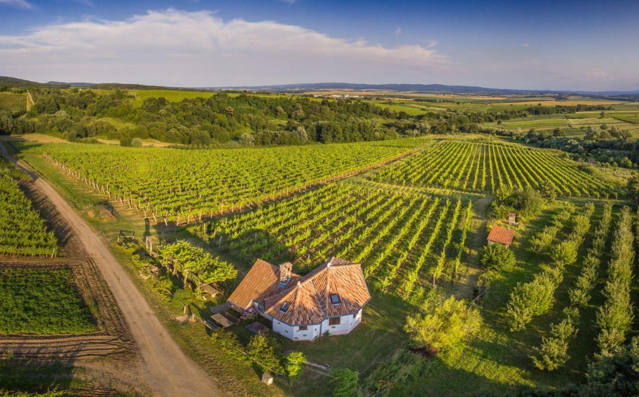 Robinson Vila Kitokret Kutjevo ภายนอก รูปภาพ