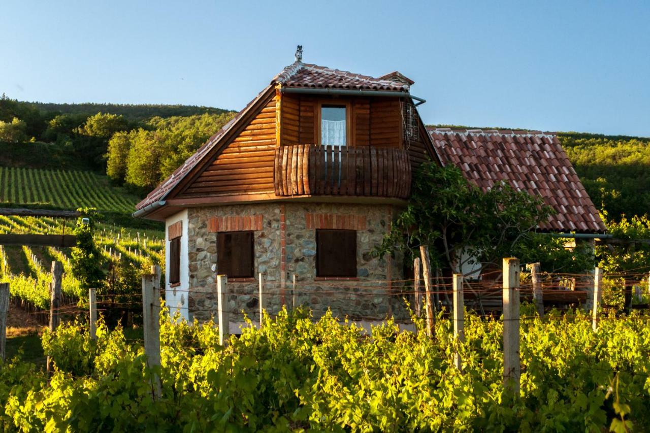 Robinson Vila Kitokret Kutjevo ภายนอก รูปภาพ