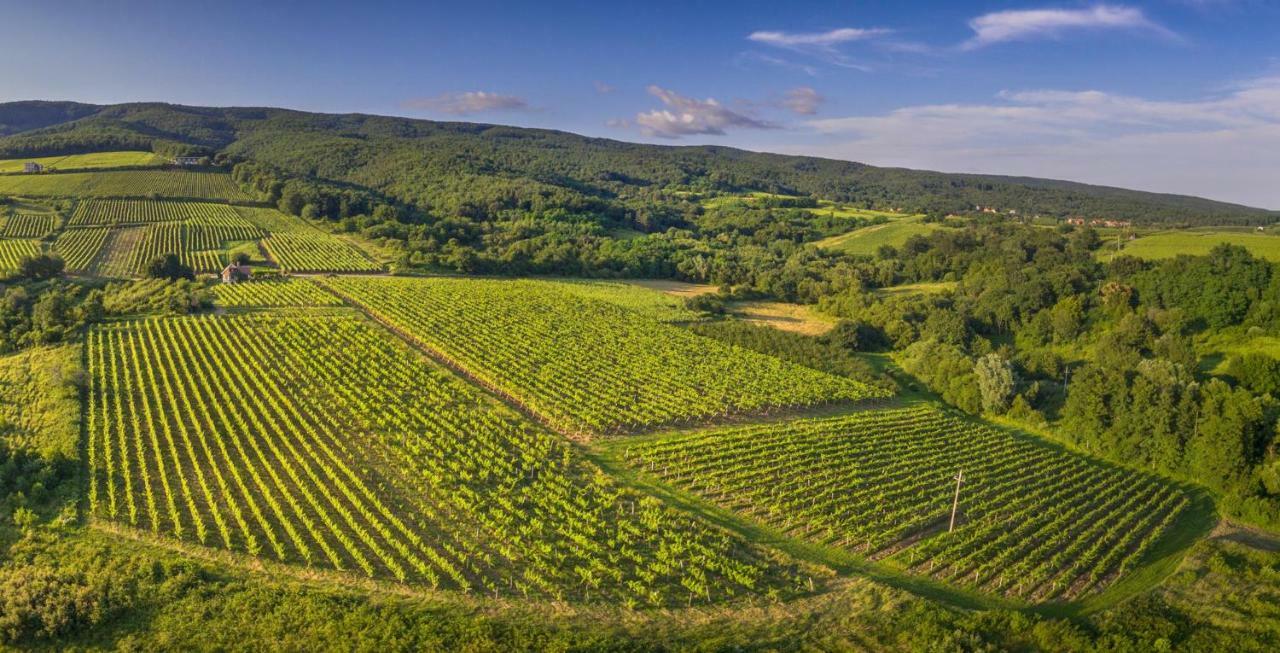 Robinson Vila Kitokret Kutjevo ภายนอก รูปภาพ